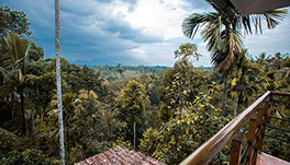 Hibernest Group, Kalpetta - View-from-the-balcony